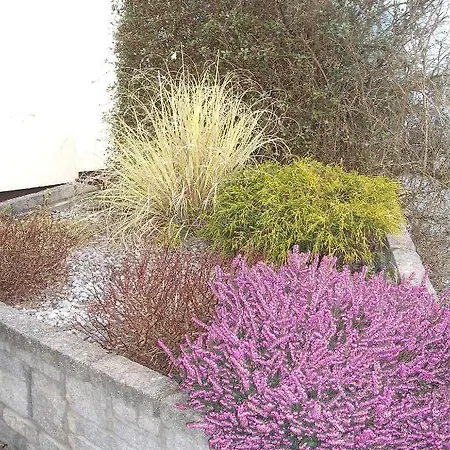 Maryville 3* Nenagh