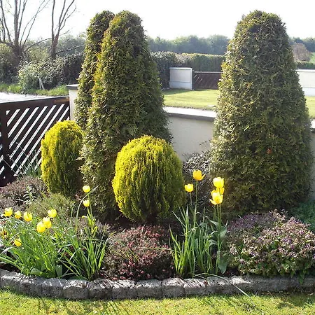 Maryville Nenagh